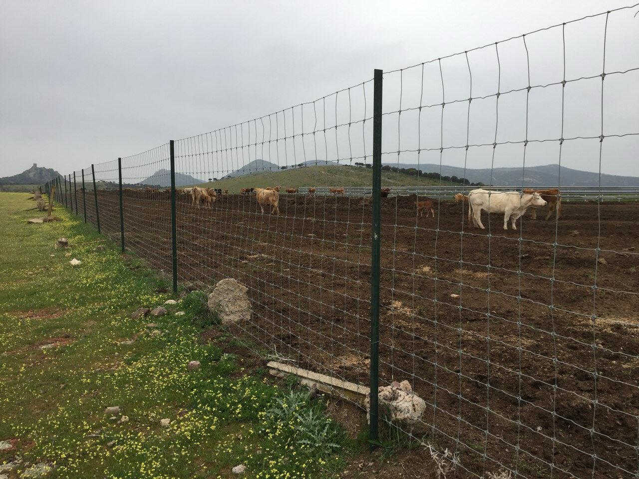 Malla Ganadera 200-17-15 serie fuerte MontesFafer